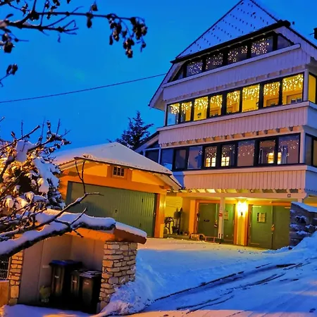 Haushaelfte Ca 290 Qm Luxus Zur Alleinnutzung Loeffingen