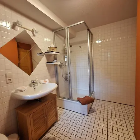 Apartment Haushaelfte Ca 290 Qm Luxus Zur Alleinnutzung