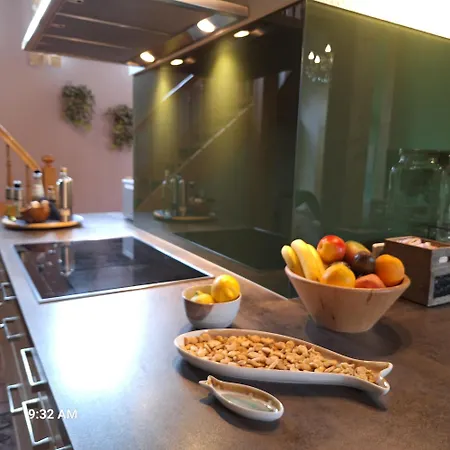 Haushaelfte Ca 290 Qm Luxus Zur Alleinnutzung Apartment