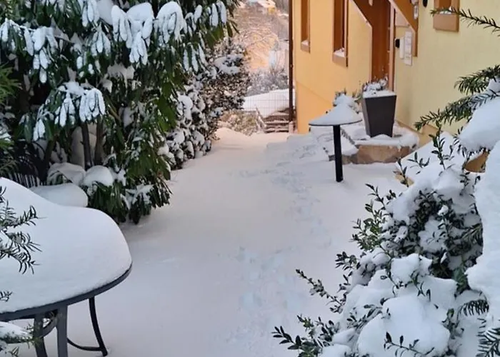 Haushaelfte Ca 290 Qm Luxus Zur Alleinnutzung Апартаменты *